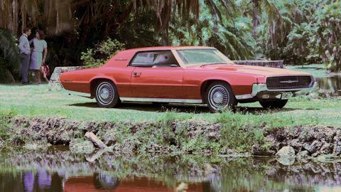 Ford Thunderbird V
