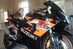 Примерка от сестры) R17 &R18 image #1