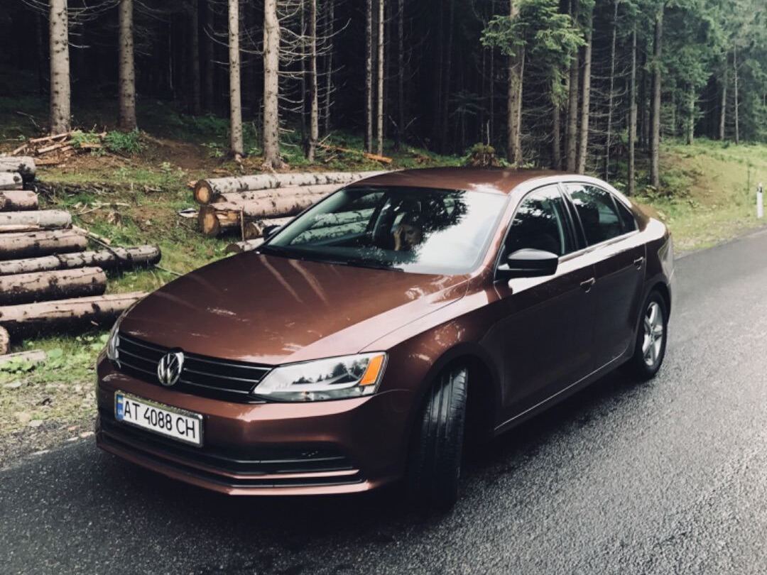 Dark Bronze Metallic image #1