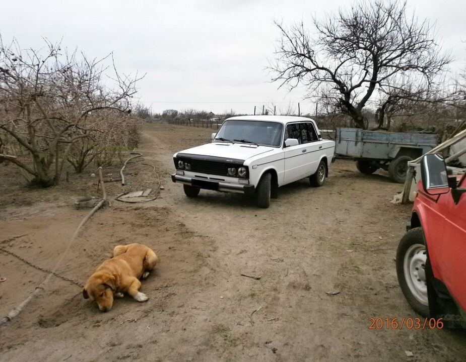 Свинцовое небо весны. image #1