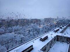 Зима пришла, а с ним и ещё одно ДТП жены… image #3