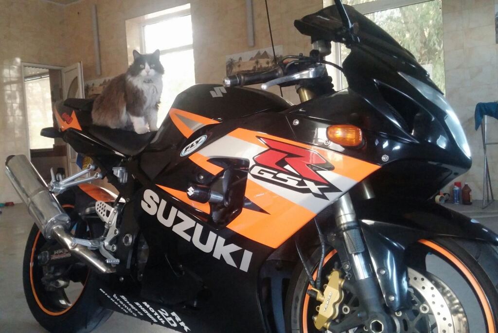 Примерка от сестры) R17 &R18 image #1