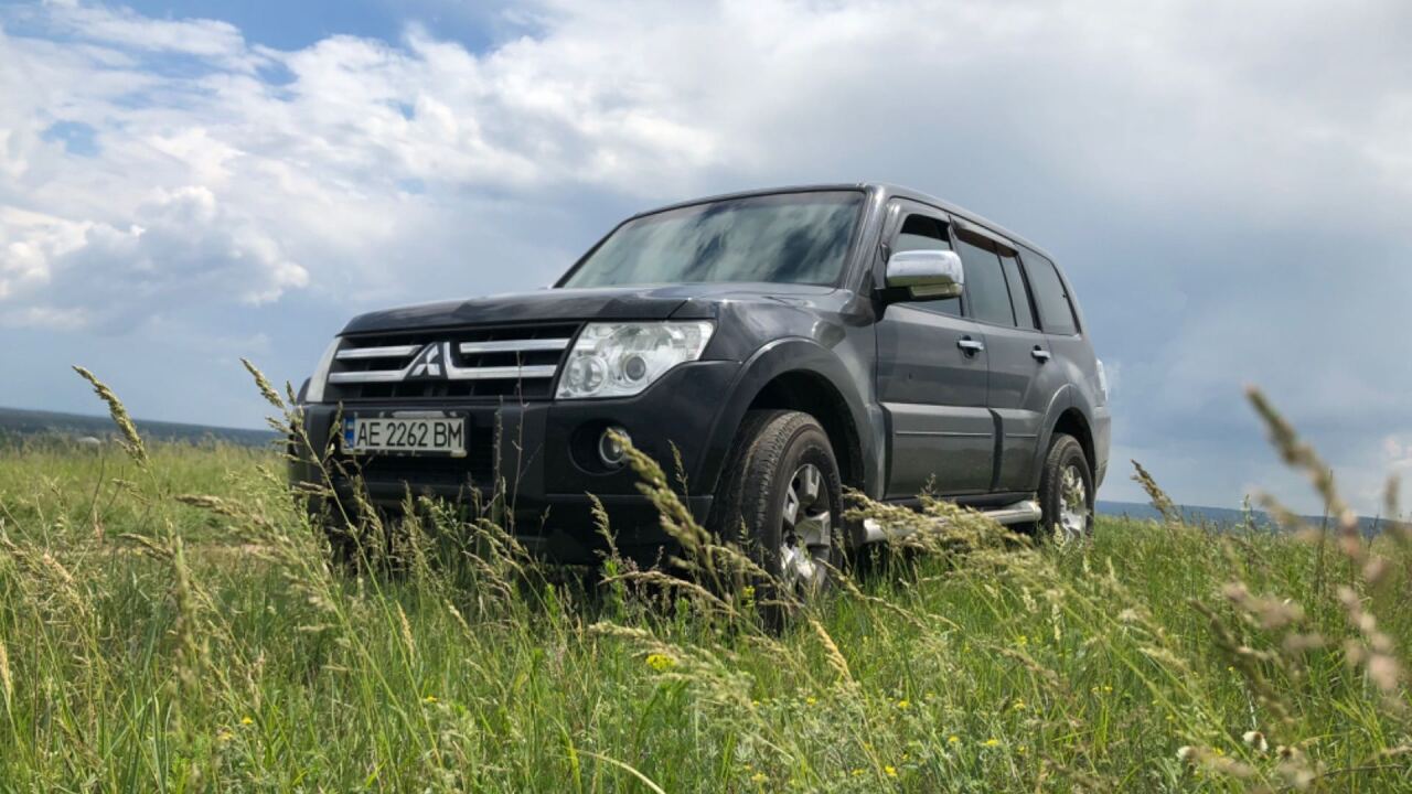 Кращій бегемот image #1