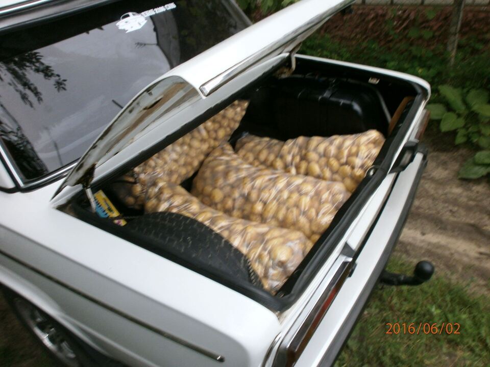 Бульбовоз image #1