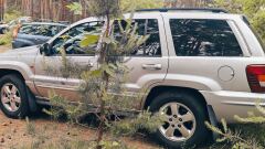 Jeep Grand Cherokee (WJ) image #2