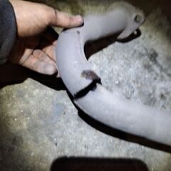 Заменил резонатор с трубой.