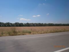 Дорога к морю. image #2