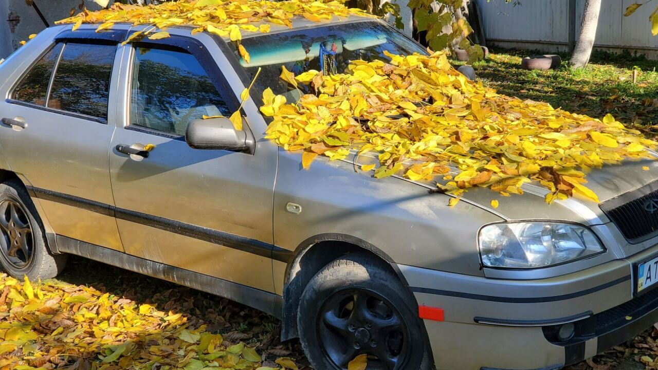 Chery Amulet image #1