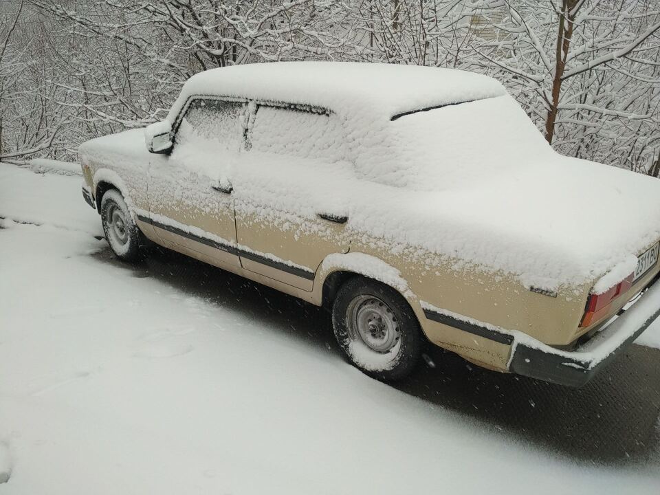 №11. Первый снег (Фото) image #1