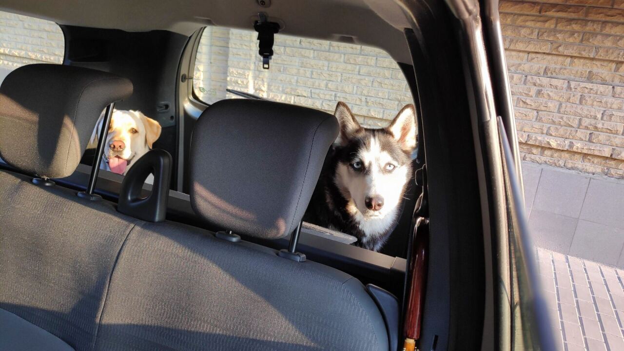 Dacia Lodgy image #2