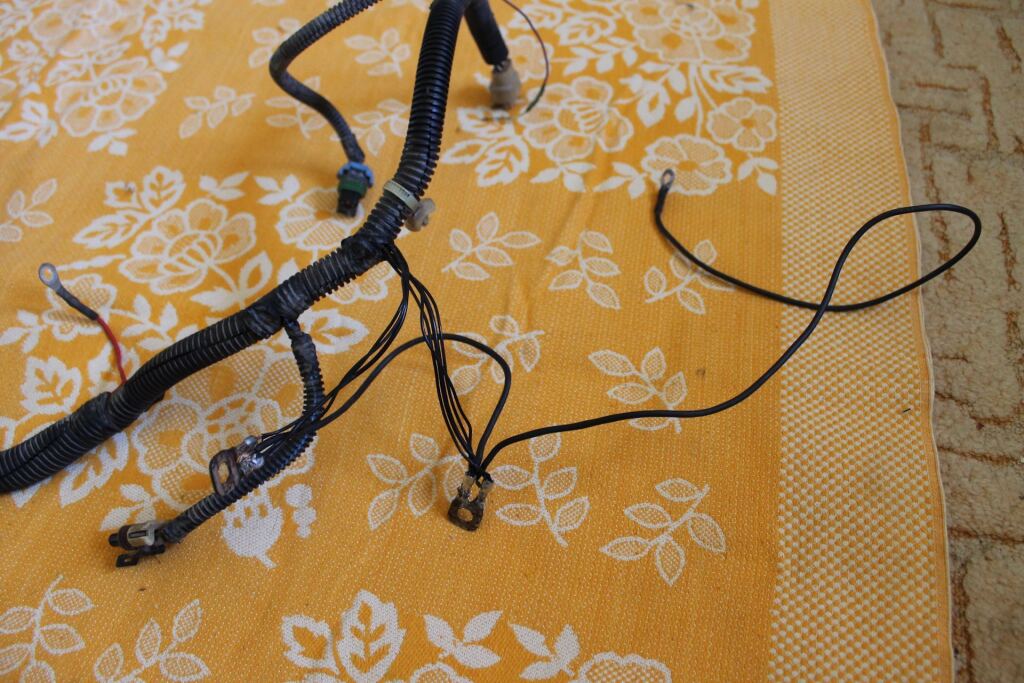 ХХ нашелся image #1