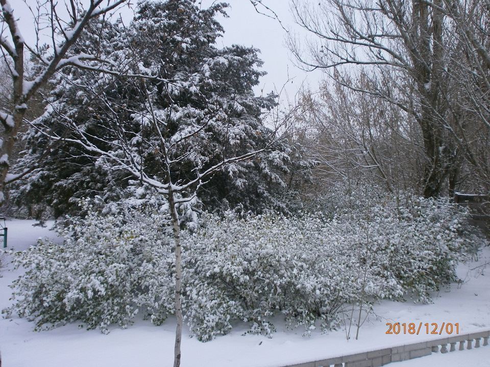 Первый зимний день image #1