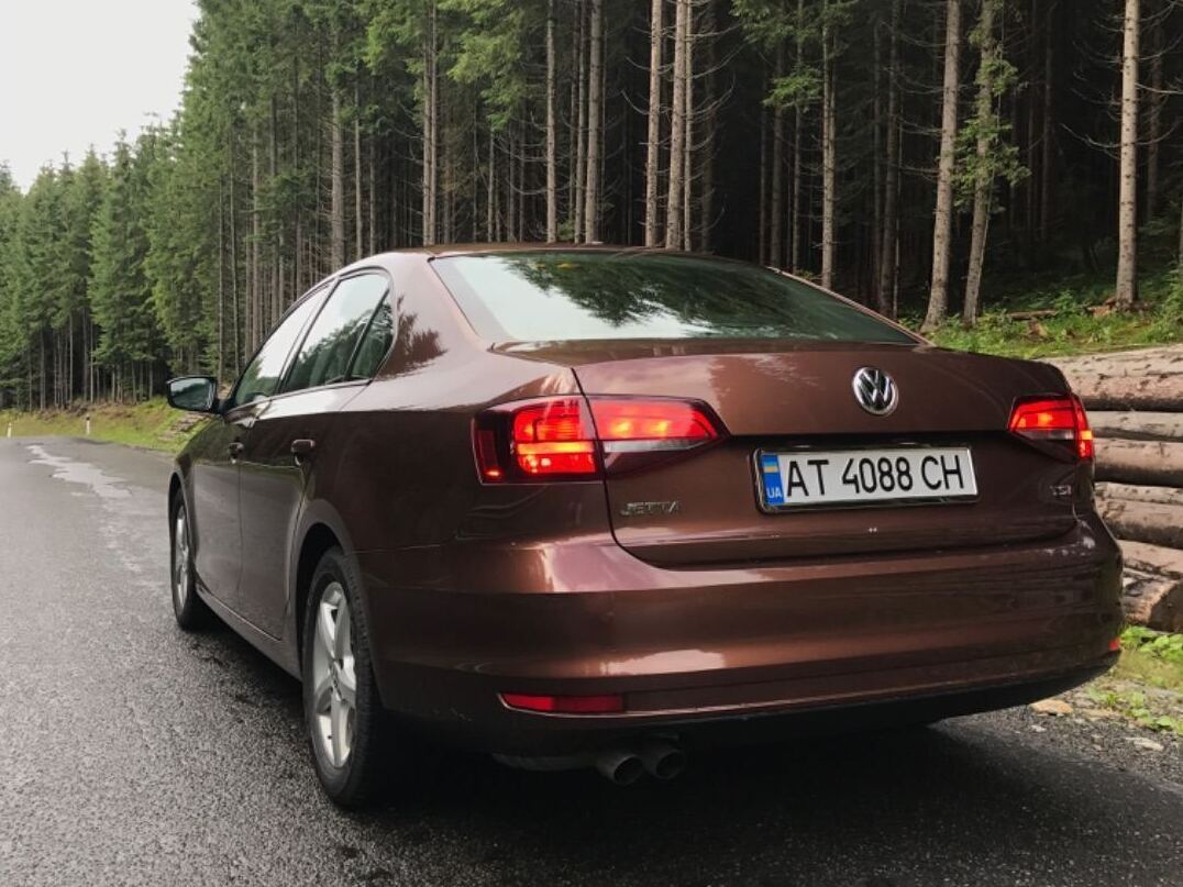 Dark Bronze Metallic image #2