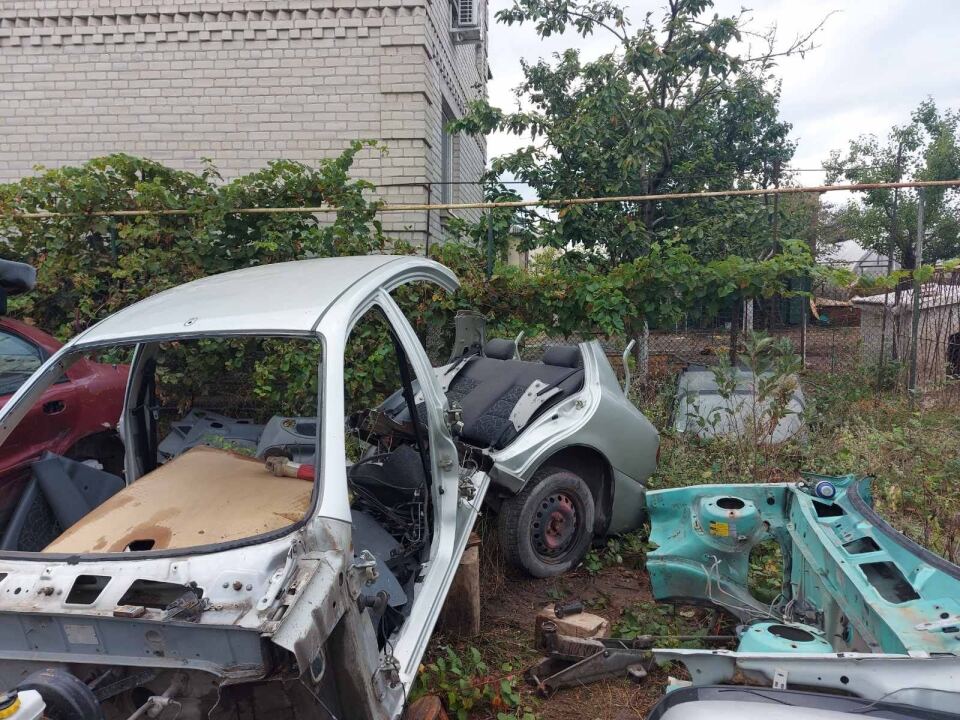 Он будет жить! image #1