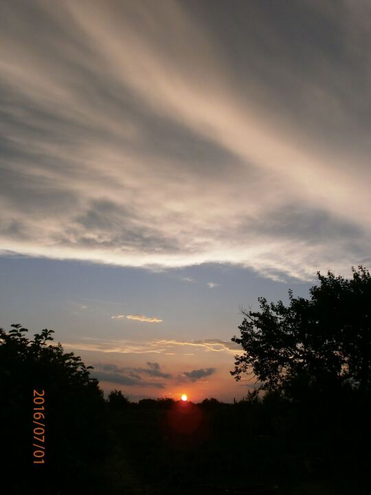 68.Где прячется мощность?Ремонт карбюратора АТ 7010-007 image #2