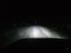 187.Желтые ПТФ