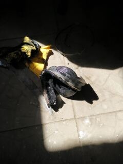 №4. Замена пыльника ШРУСа и компенсационного бачка