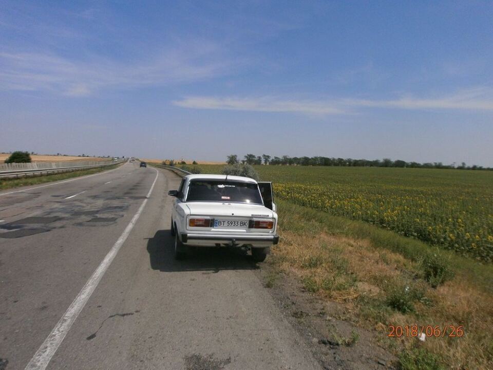 Горячее солнце пустыни. image #1