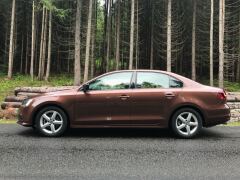 Dark Bronze Metallic image #3