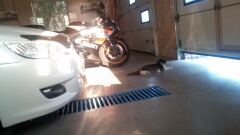 Примерка от сестры) R17 &R18 image #2