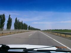 Горячее солнце пустыни. image #3