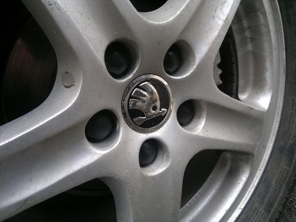 О вместительности наших ласточек, колпачки дисков от Ситиго image #1