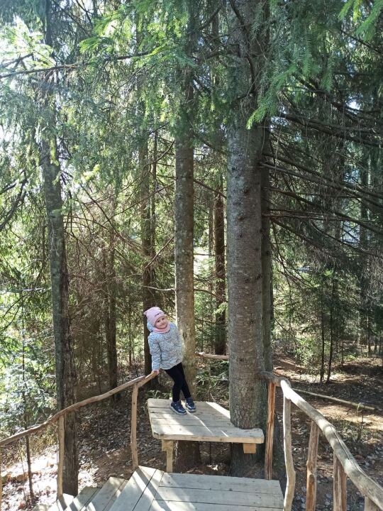 Поездка: Львов-Буковель и обратно image #2