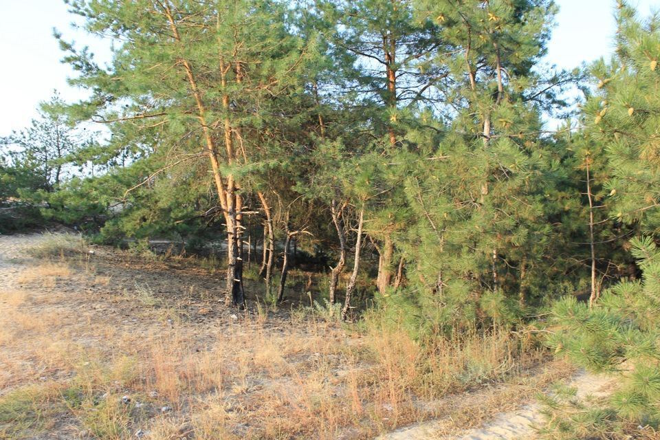 Встреча сообщества Энергодар Днепрорудный image #5