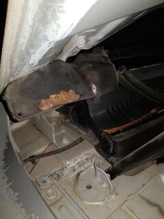 4. Уплотнитель капота — Ушел, больше не вернусь!