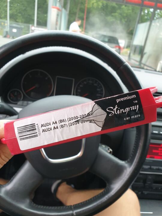 №3. Коврики в салон и багажник image #1