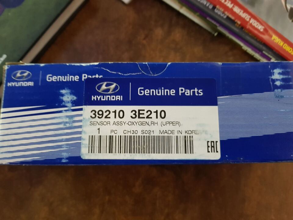 2. Первые проблемы — Каты! Казнить, нельзя помиловать? image #1