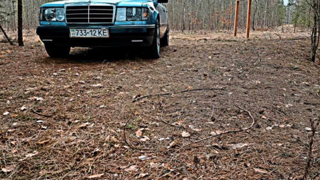 Mercedes-Benz E-class (W124) image #1