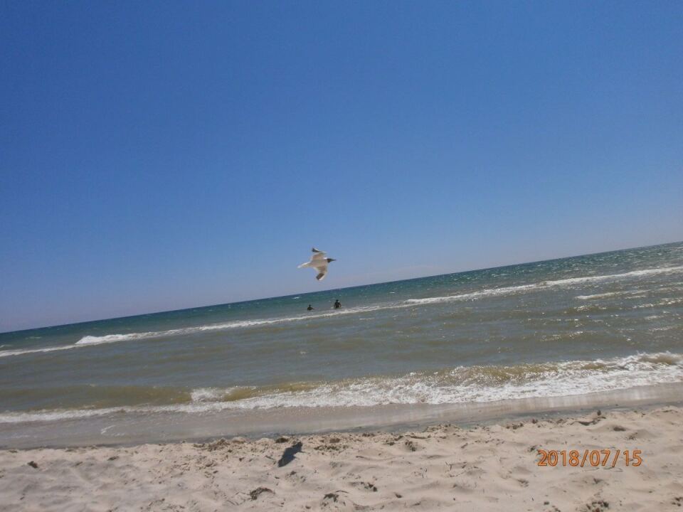 "Старик и море" image #4