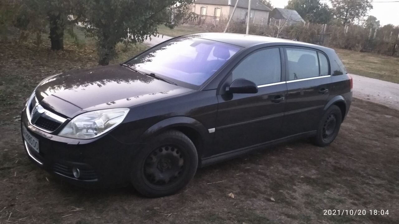 Opel Signum ...не инсигния, а сигнум image #3