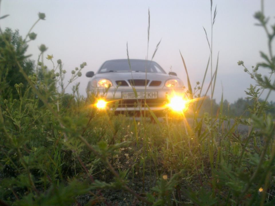 На дачу image #4