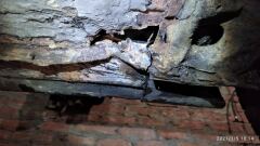 Днище 15-летнего опеля image #2