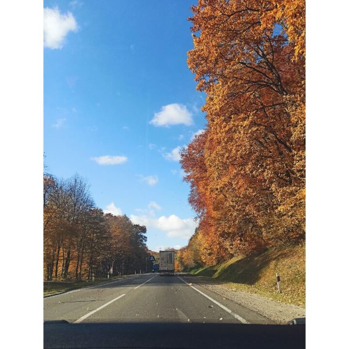 /ПОЕЗДКА/ Один день в осеннем Прикарпатье image #2