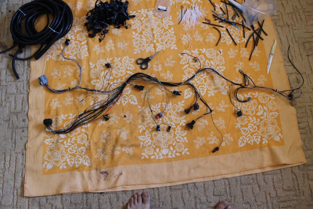 ХХ нашелся image #2