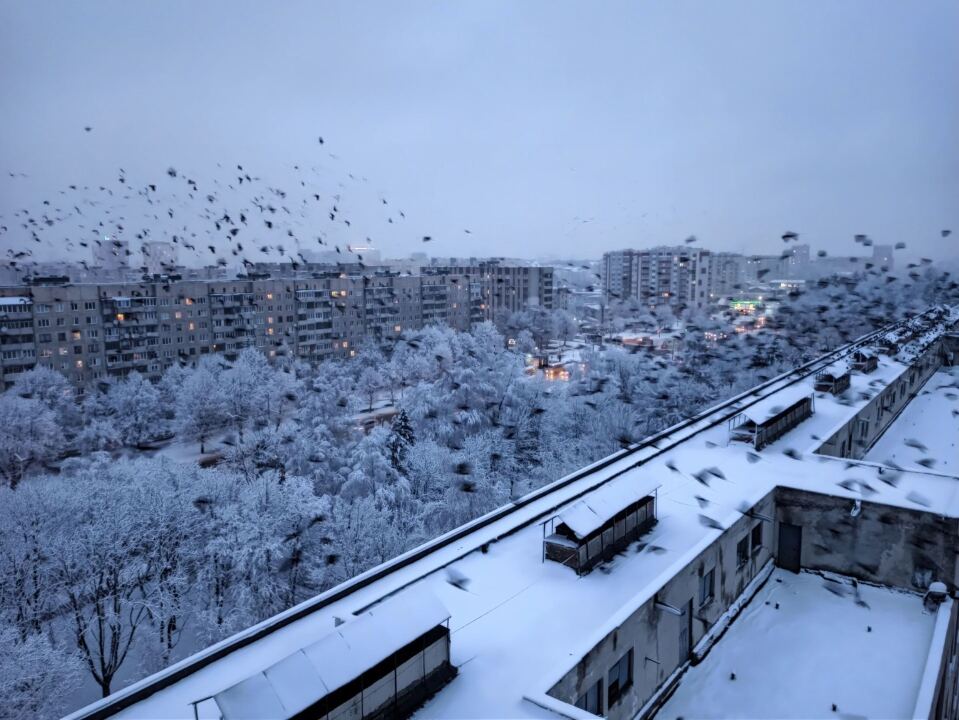 Зима пришла, а с ним и ещё одно ДТП жены… image #3