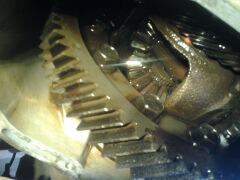 Замена масла в КПП image #1