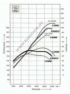 Почему чумотек
