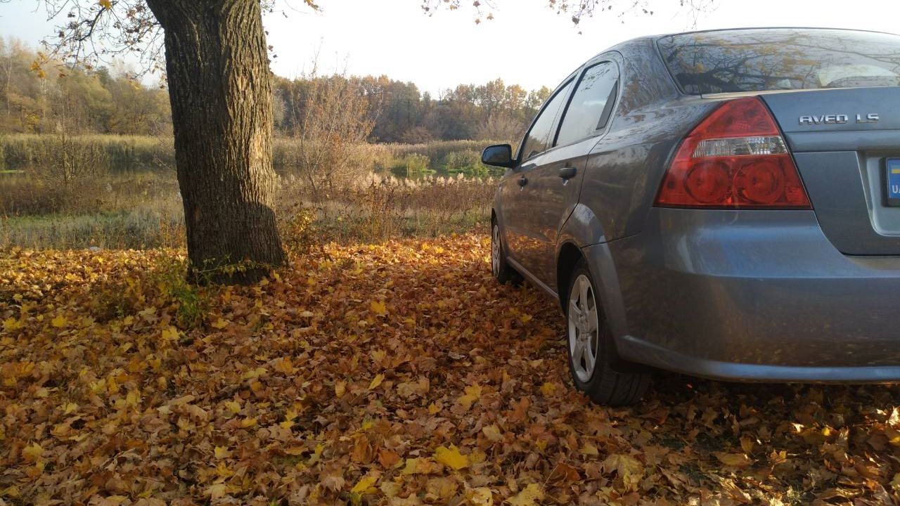 Chevrolet Aveo Sedan "BLUE POLTORUSHKA" image #1