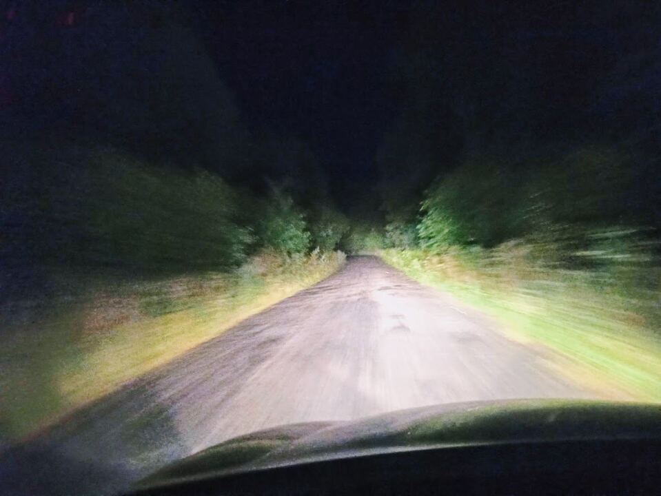 /ПОЕЗДКА/ Львов-Шацк на выходные, ну и ураган повалил дерево прямо передо мной image #1