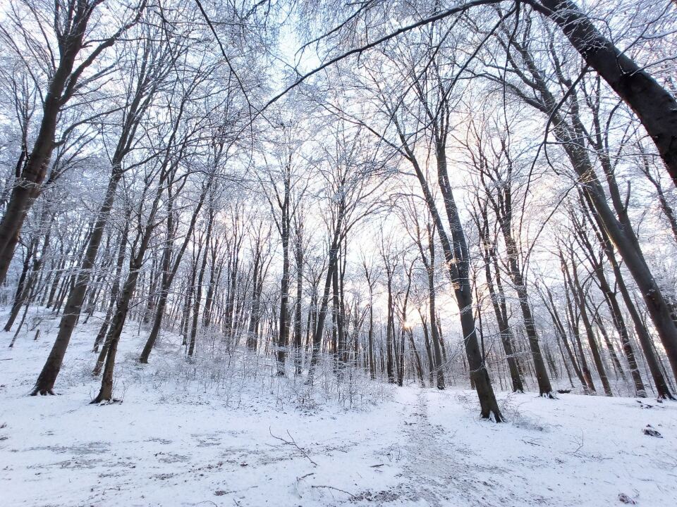 Зима пришла, а с ним и ещё одно ДТП жены… image #2