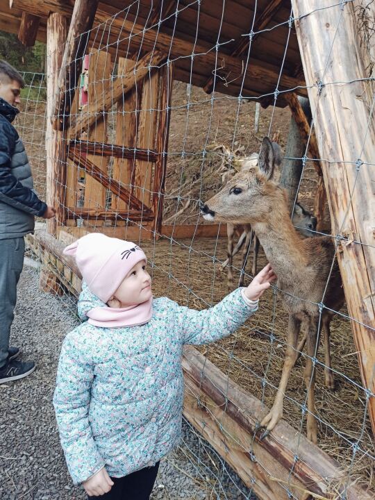 Поездка: Львов-Буковель и обратно image #1