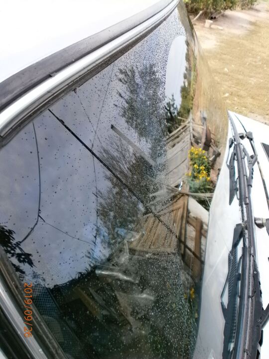 149.Щетки стеклоочистителя image #5